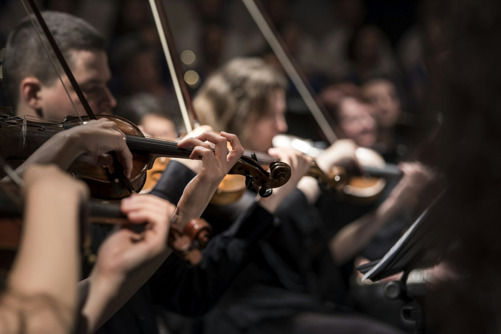 Orchestra strings in close view